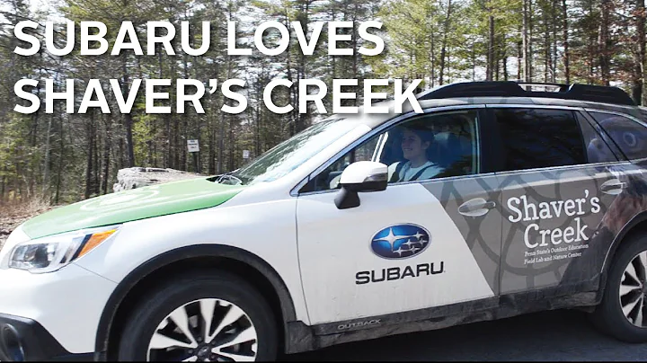 Subaru Loves Shaver's Creek  A Raptor-tastic Car W...