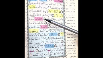 روابط سورة محمد (٢)