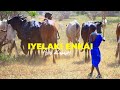 IYELAKI ENKAI OFFICIAL MUSIC VIDEO BY ABEL KASAINE 