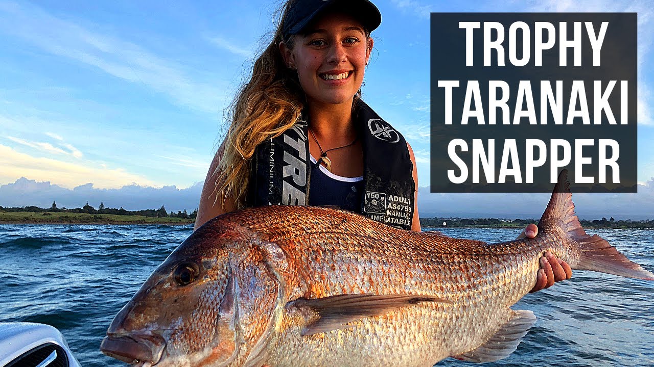 Trophy Taranaki Snapper (Season 5 Episode 6) 