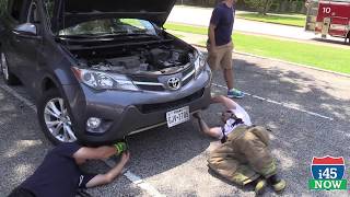 Firefighters rescue kitten cat stuck in a car