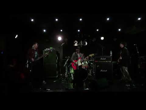 【バンドカバー】眩しいDNAだけ / ずっと真夜中でいいのに。