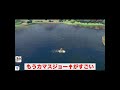 #Shorts カマスジョーの発音で迷う女【ポケモン剣盾】