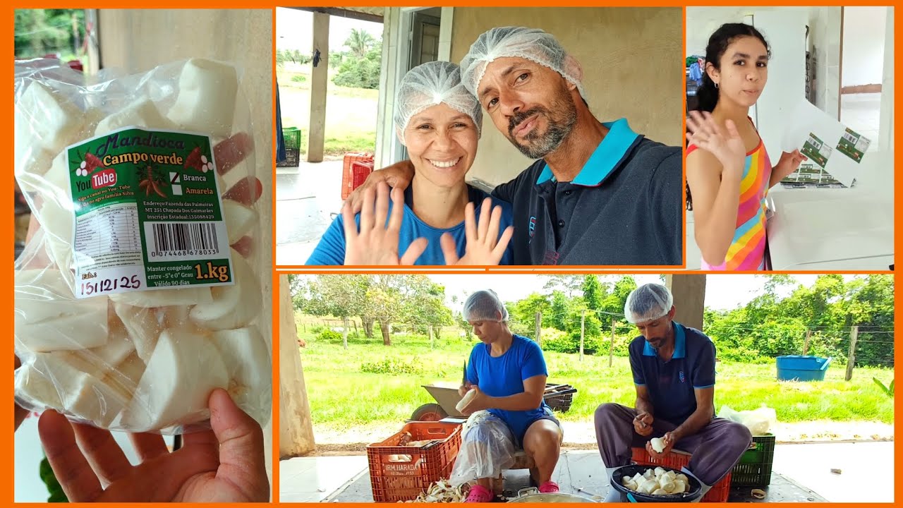 Agroindústria familiar de mandioca ,boa fonte de renda no campo.