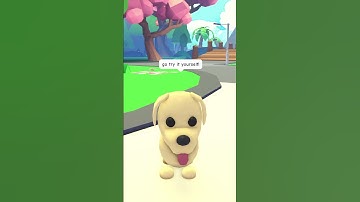 Only Adopt Me Pets Can Comment On This Video! #roblox #adoptme