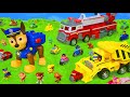 Paw Patrol araçlar ve rakamlar