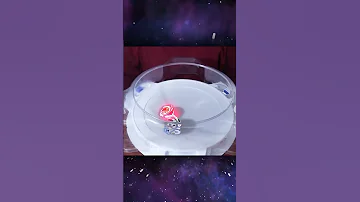 بلبل الاخيل يعود وبقوة 