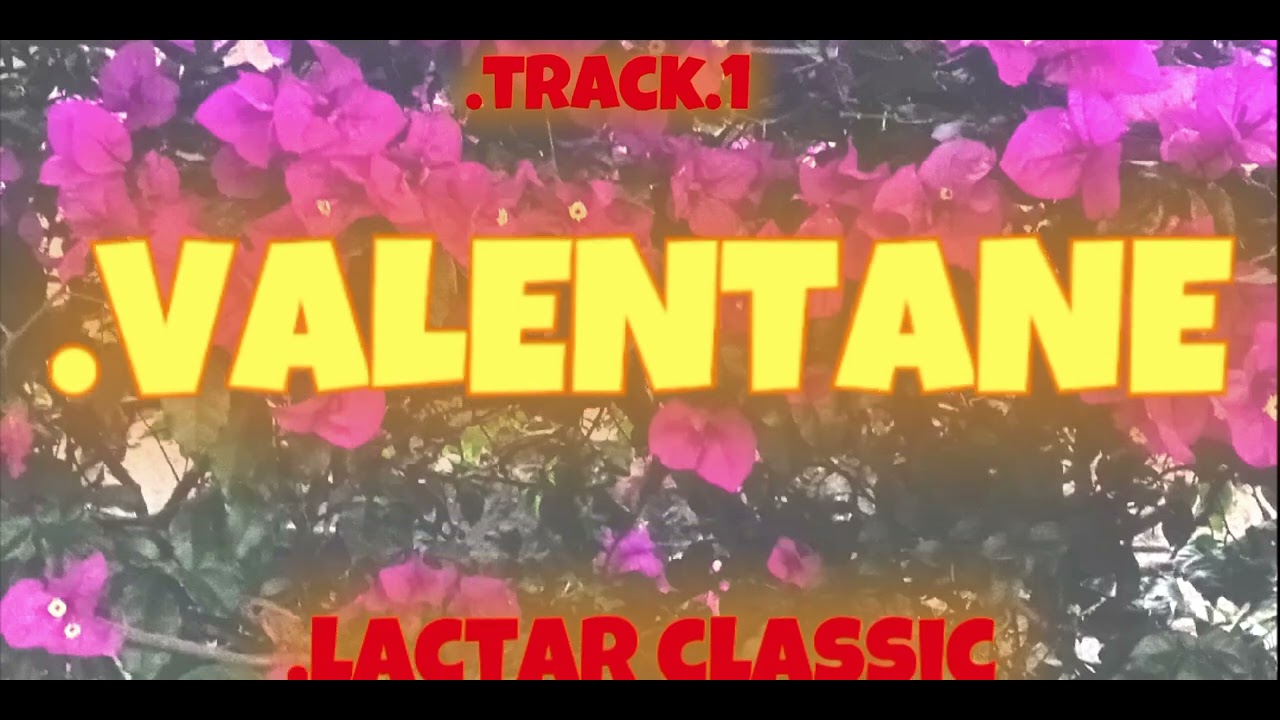 VALENTINE DAY(OFFICIAL VISUALIZER VIDEO)