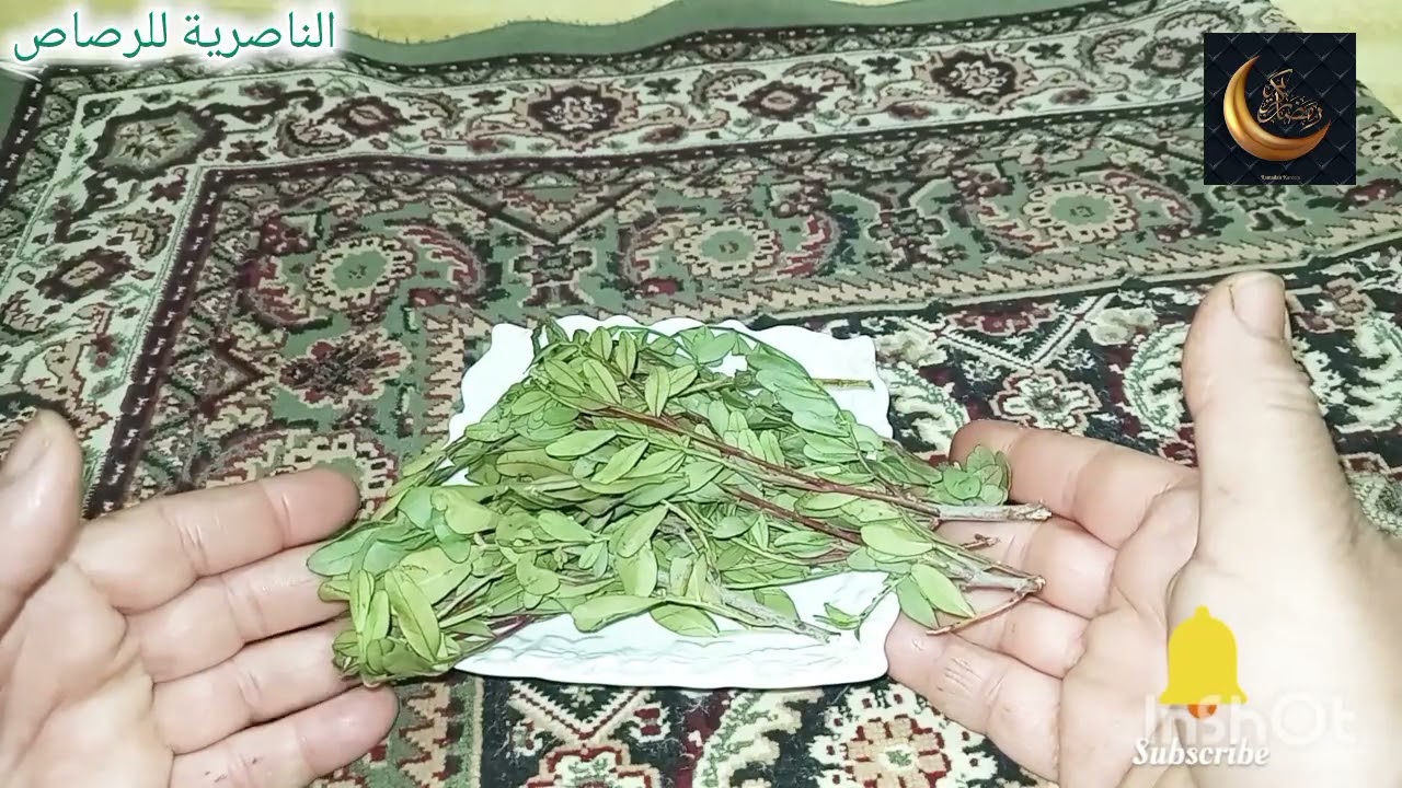 كنز رباني(الريحان )طاقة إيجابية للجسم وقبول وازالة الخمول خطيرة جدا والمس مرحبا 👋 