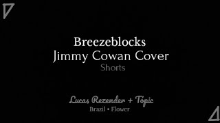 Breezeblocks Alt-J ( Jimmy Cowan Cover ) Por Favor, Não Vá... ( Slowed ) [ Brazil • Flower ]