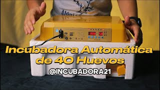 Como es una incubadora de 40 huevos automatica