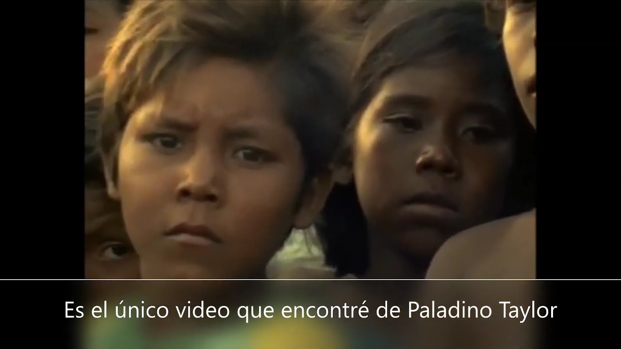 Padin Aimuns. Paladino Taylor.