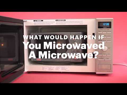 What Would Happen If You Put A Microwave In The Microwave?