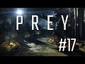 Prey #17 - Жилые помещения