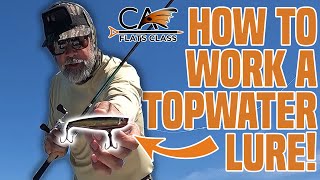 How To Work A Topwater Lure! | Flats Class YouTube