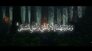 • تلاوة من سورة الروم 🤍 القارئ : عبد الله الخلف 🌧️ أرح قلبك ✓