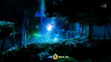 Ori and the Blind Forest BUG ?????