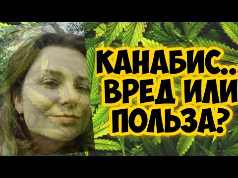 Видео: Канабис мултифиламент