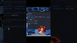 Linux Terminal Basics: Commands You’ll Use Every Day