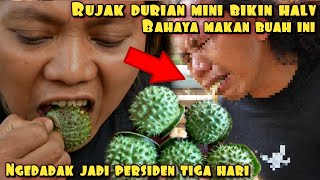 GAW4T RUJAK DURIAN MINI BIKIN HALV 3 HARI