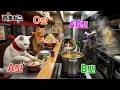 【血液型あるある】 AI猫のラーメンの食べ方🐱🍜【四季ねこ】