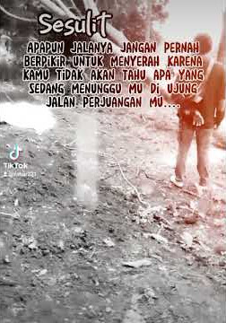 story wa 24434,pejuang sholawat