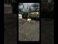 Lumion animation modeling with SketchUp