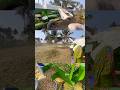 VJB Multi Crop Thresher Vadalur- Vishvkarma Industries