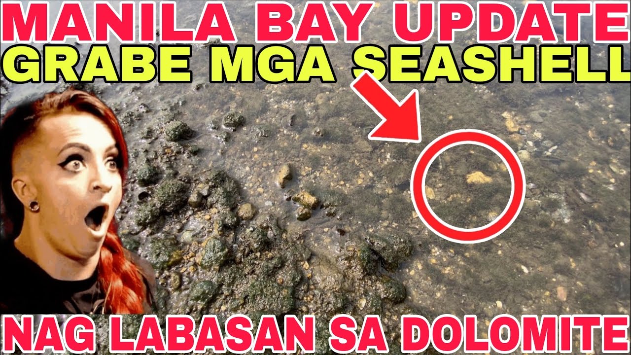 MANILA BAY UPDATE,GRABE MGA SEASHELL NAG LABASAN SOBRANG LOWTIDE ! Miz July 