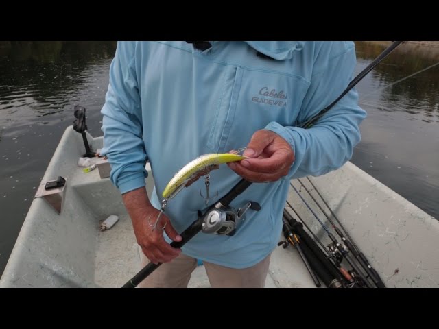 How TO Rig Brads Original Superbaits