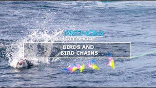 Bird Chain Teasers - Flying Fish Chains explanation from Andy at Fathom Offshore