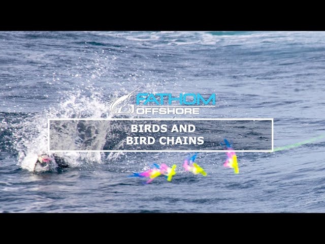 Bird Chain Teasers - Flying Fish Chains explanation from Andy at Fathom  Offshore 