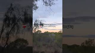 ⁨ قلوبهم معبيا علينا و هوما ما شافو منا كان الخير 🖤 …⁩