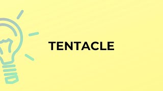 What Is The Meaning Of The Word Tentacle?