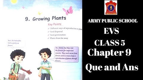 APS class 5 EVS chapter 9 | GROWING PLANTS | EXERCISE | APS class 5 EVS book | APS | @nksclasses
