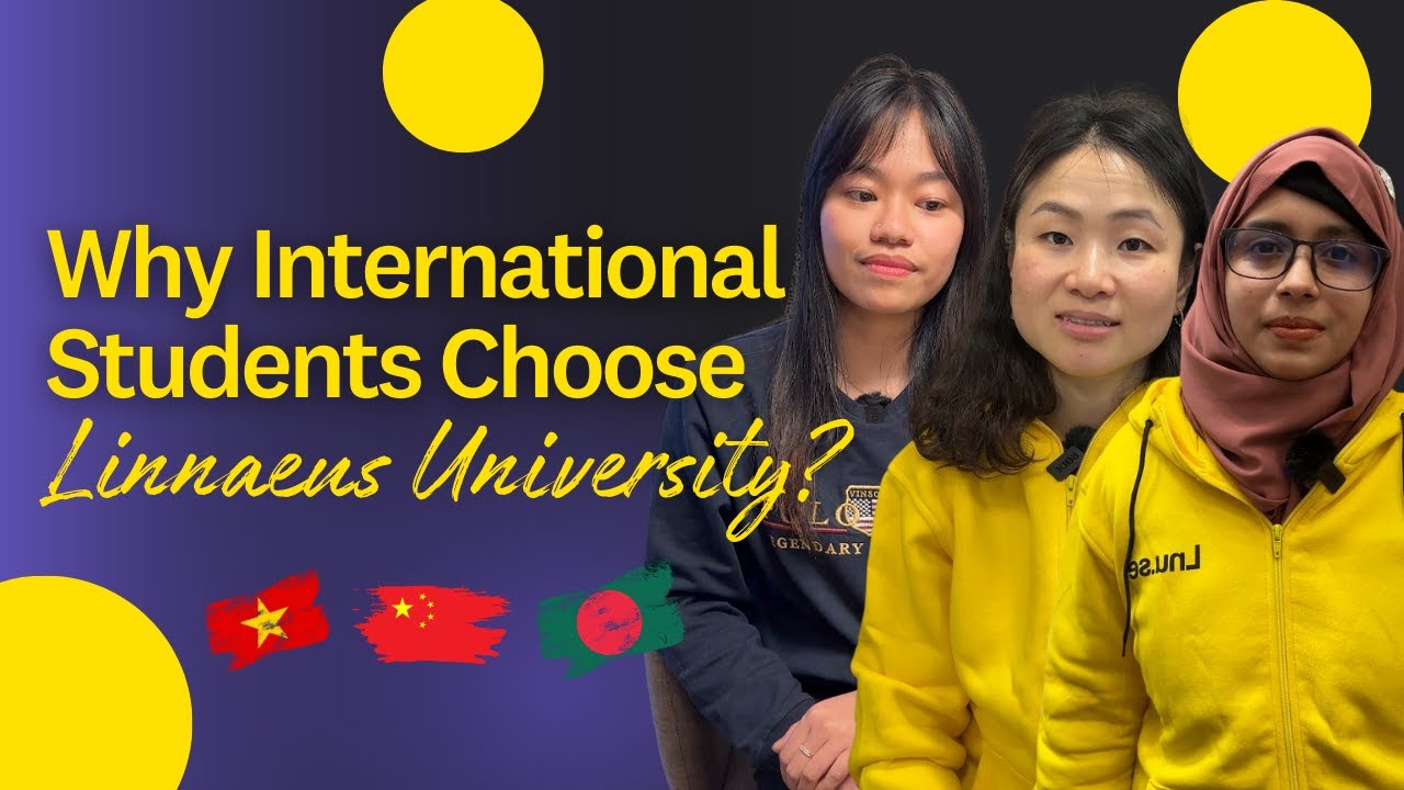 Why International Students Choose Linnaeus University? 🌍