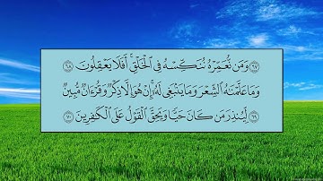 سورة يس (الآية 55 ~ الآية 83) - ياسر بن راشد الدوسري