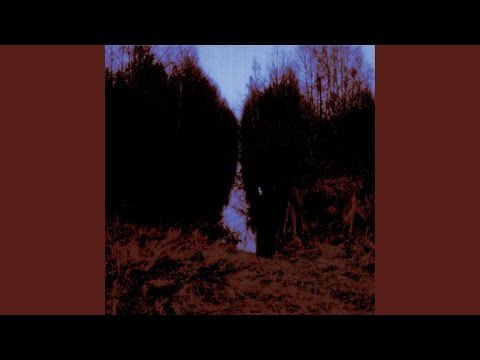 Opeth – My Arms, Your Hearse | Releases | Discogs