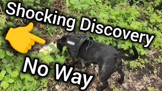 Retired Police K9 Makes A Shocking Discovery