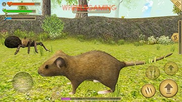 Funny Mouse Simulator - Android Games