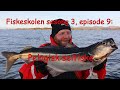 Fiskeskolen sesong 3, episode 9: Pelagisk seifiske