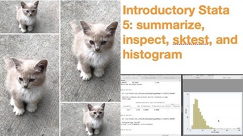 Introductory Stata 5: Distribution of Variables using summarize, inspect, sktest, and histogram