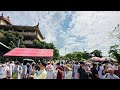 Nơi mình phụng sự cách xá lợi Đức Phật chỉ vài bước chân | Vesak 2025 | P2