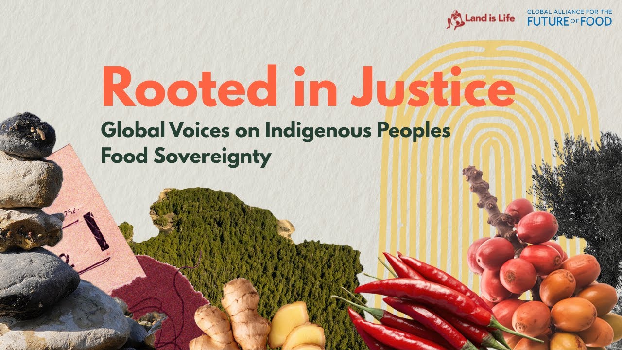 Rooted in Justice: Global Voices on Indigenous Food Sovereignty - YouTube