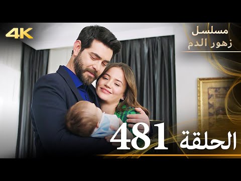 الحلقة 481 مسلسل زهور الدم مدبلج بالعربية Kan Çiçekleri جودة 4K 