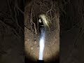 Micro Back-Mounted Camera POV: Ferret Underground Burrow Exploration Documentary