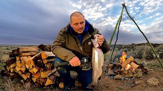 GIANT TROUT Fishing \& RUSTIC Van Camping at my Property!!! (Catch \& Cook)