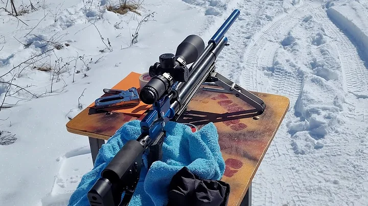 50-100 meters Полнотел 22-25caliber Doberman and Jager shooting