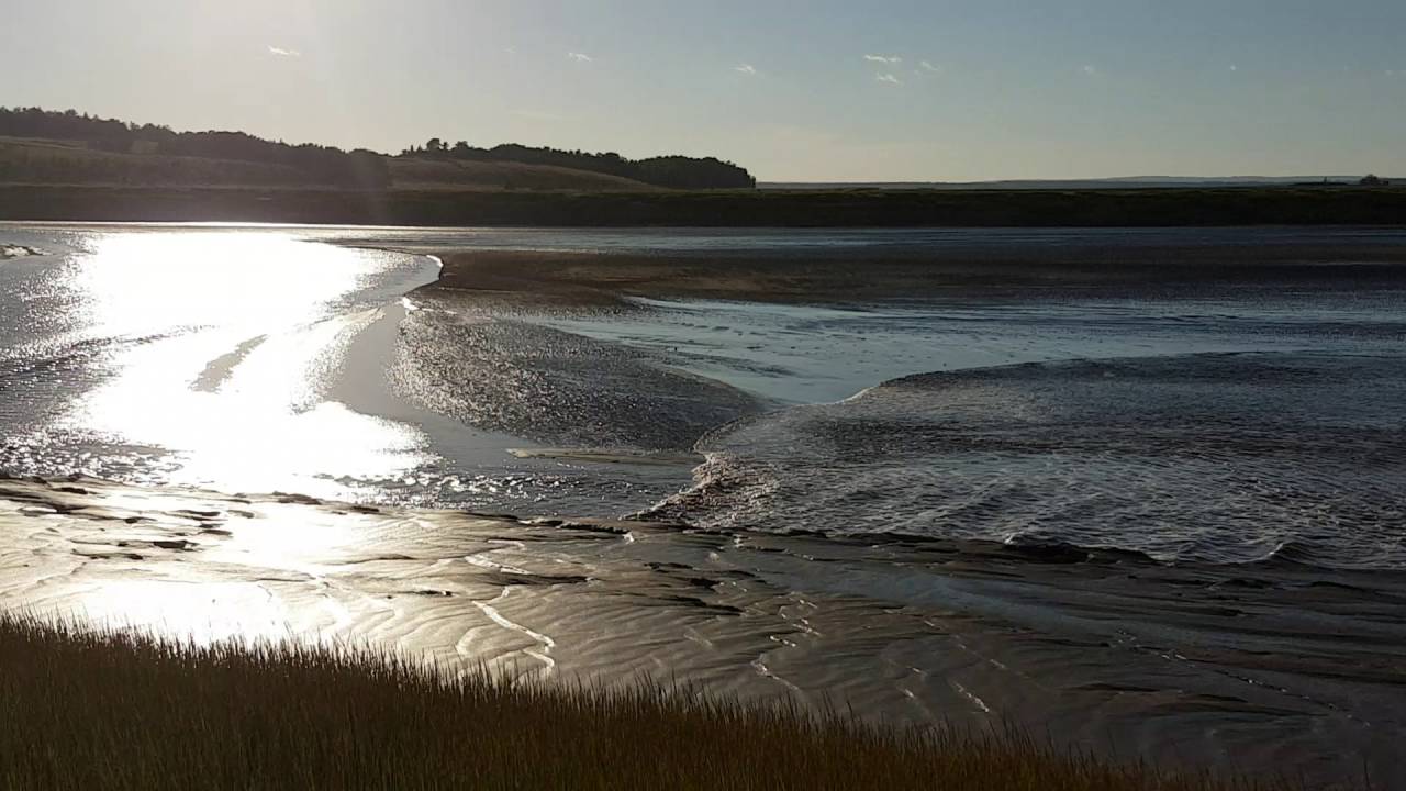 Bay Of Fundy Tidal Bore Nappan NS YouTube