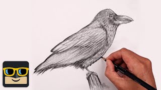 How To Draw a Raven | Sketch Tutorial